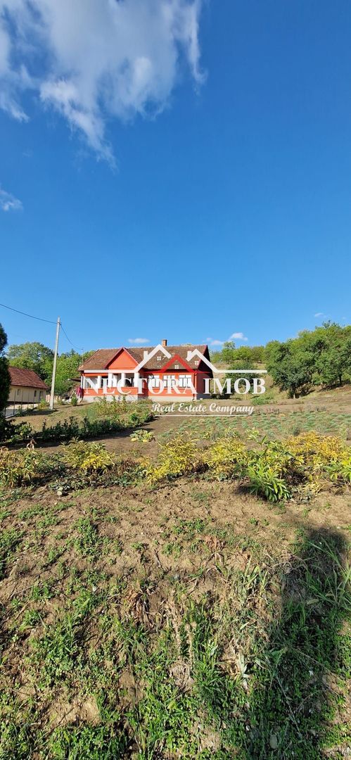 NECTORA IMOB-Casa Zona Podgoria cu 3 incaperi, 1700 mp teren,tip Conac - Poză 8