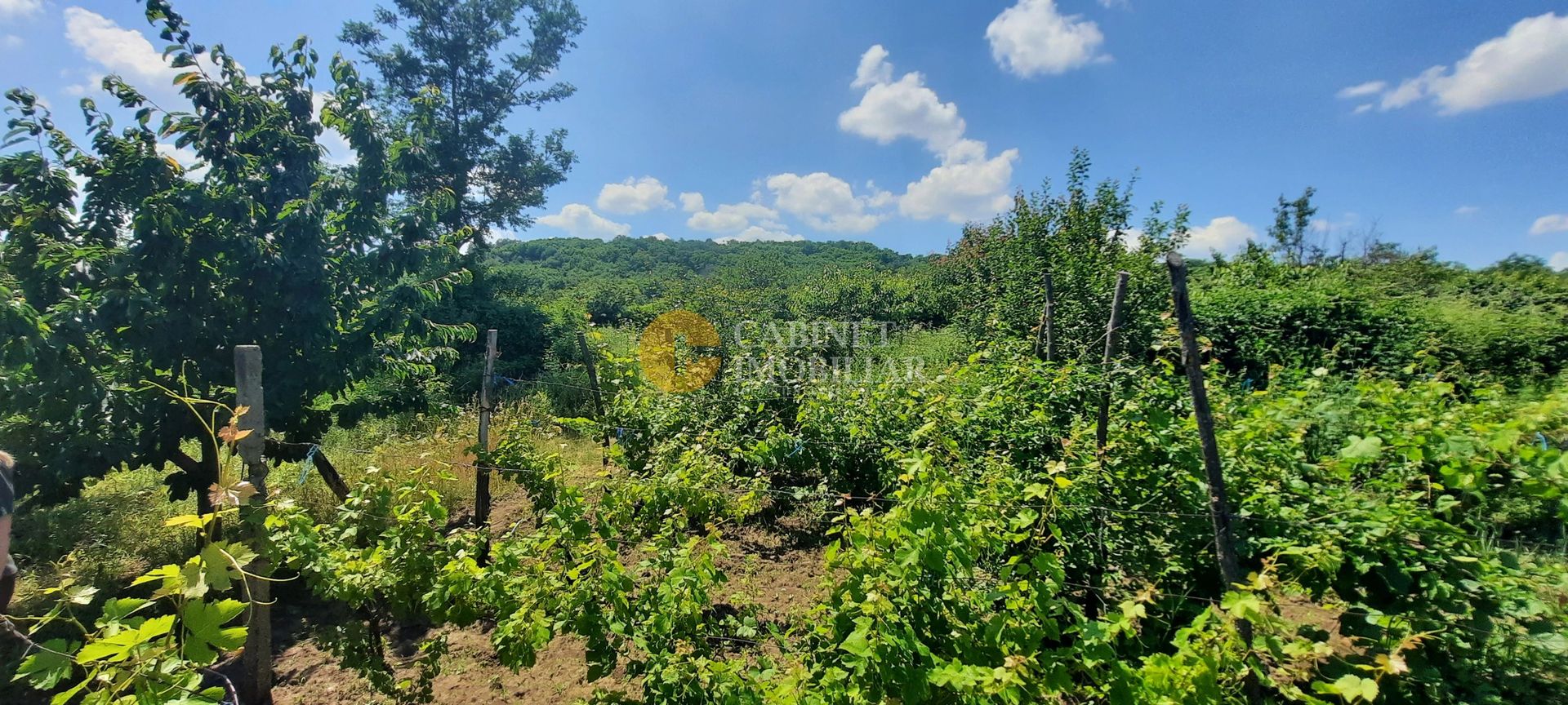 CASA PLAN PARTER + MANSARDA  1850  MP TEREN - Costuleni,Hilita🌿 - Poză 19