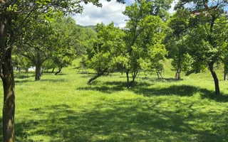 TEREN INTRAVILAN 3477 MP STOENEȘTI BĂDENI ARGEȘ - Poză 21