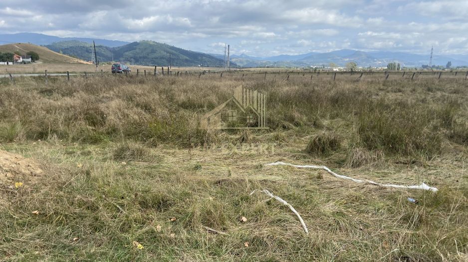 TEREN INTRAVILAN 5000 MP, GRUI, CAMPULUNG - Poză 5