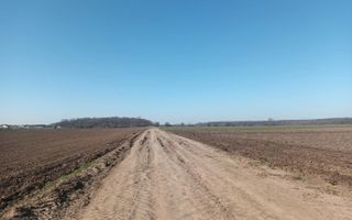 Teren de vanzare, Ordoreanu, Ferma de Struti, pret discutabil - Poză 1