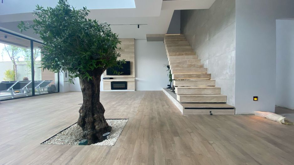 ilfov  CORBEANCA - Poză 10