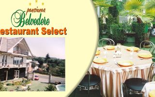 VILA - PENSIUNE CU RESTAURANT + SI TEREN 6406 MP, VALEA MARE PRAVAT, - Poză 4