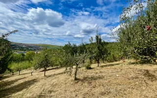 Casă + 1 apartament separat pe teren de 1.949 mp  cu panoramă Chinteni - Poză 30