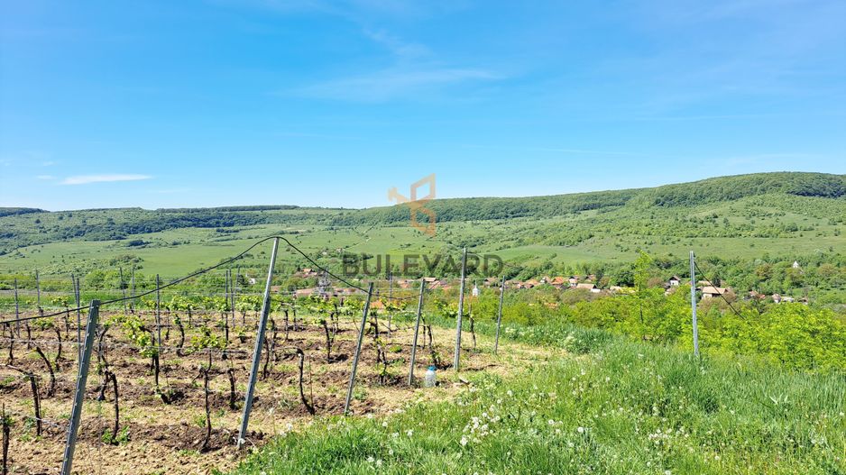 Domeniu superb situat intr-un loc care respira istorie! - Poză 29