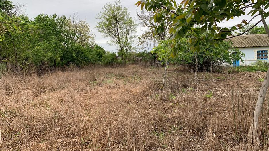 Teren intravilan 2562mp Loc 23 August | Ideal locuiță sau casă vacanță - Poză 9