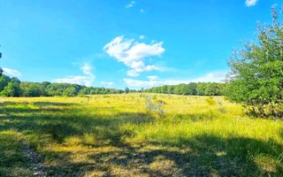 Teren intravilan construibil 3.500 mp Păcureți | UTR 6, P+2, POT 30% - Poză 6