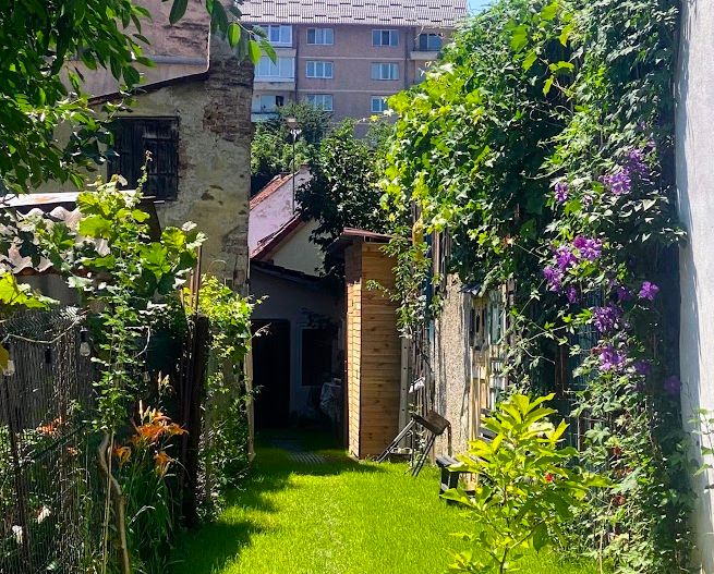 Investiție imobiliară în Brașov, poziție premium, venit constant! - Poză 24
