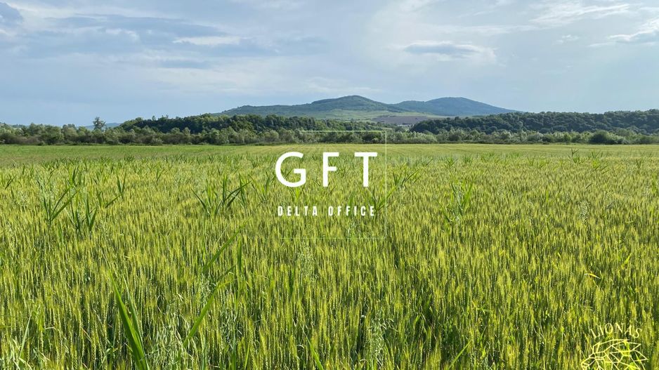 Teren -4.300 mp - Arabil - Chintelnic - Poză 5