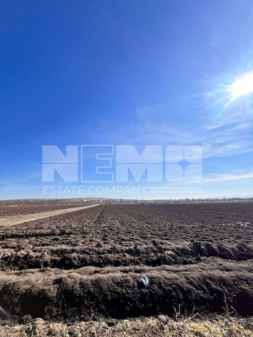 Vanzare I Teren I Suceava/Stroiesti I 100 ARI 2999 Euro/Ar - Poză 2