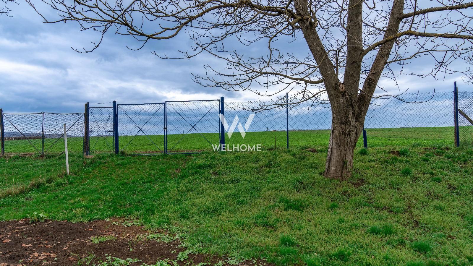 Casa Rosia, Sibiu, teren 1700mp - Poză 8