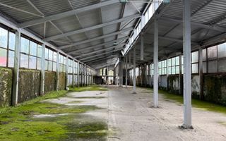 Hala In oras str Traian eligibil program "Tranzitie Justa" - Poză 6