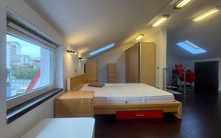 Apartament pe doua niveluri in Manastur Alee Balea cat friendly - Poză 12