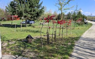 Teren Intravilan | 1150 mp | Săliște - Poză 3