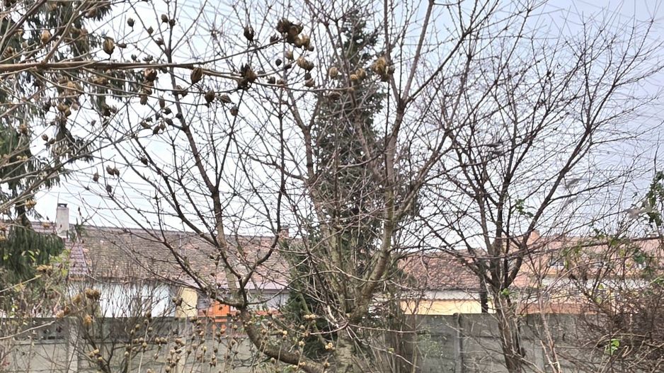 DE VANZARE CASA 5CAMERE ZONA CENTRALA TALMACIU - Poză 37