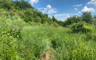 Teren intravilan de vânzare – Aninoasa, punctul La Vișini - 706 mp - Poză 1