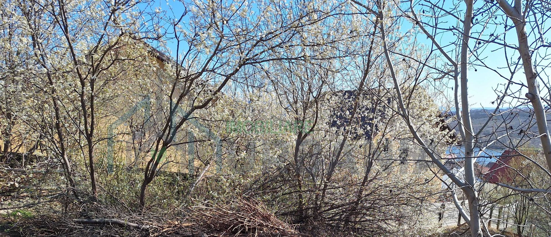 Teren intravilan recomandat ca destinatie rezidentiala, Ezareni - Poză 4