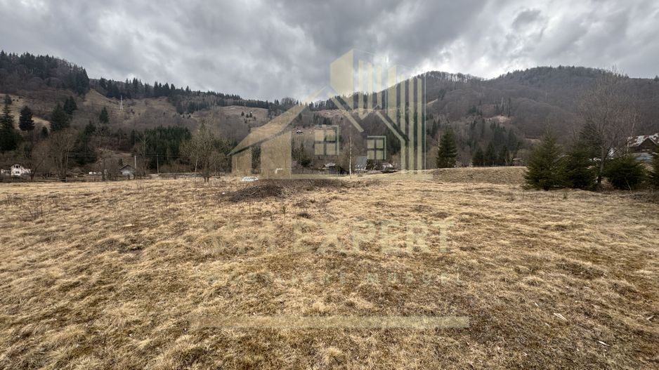 TEREN INTRAVILAN 500 MP SĂTIC- RUCĂR - Poză 13