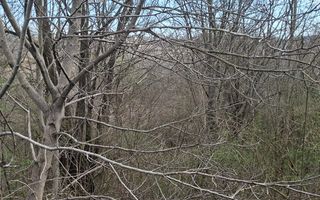 Teren de vanzare Cornu de Jos - Poză 1