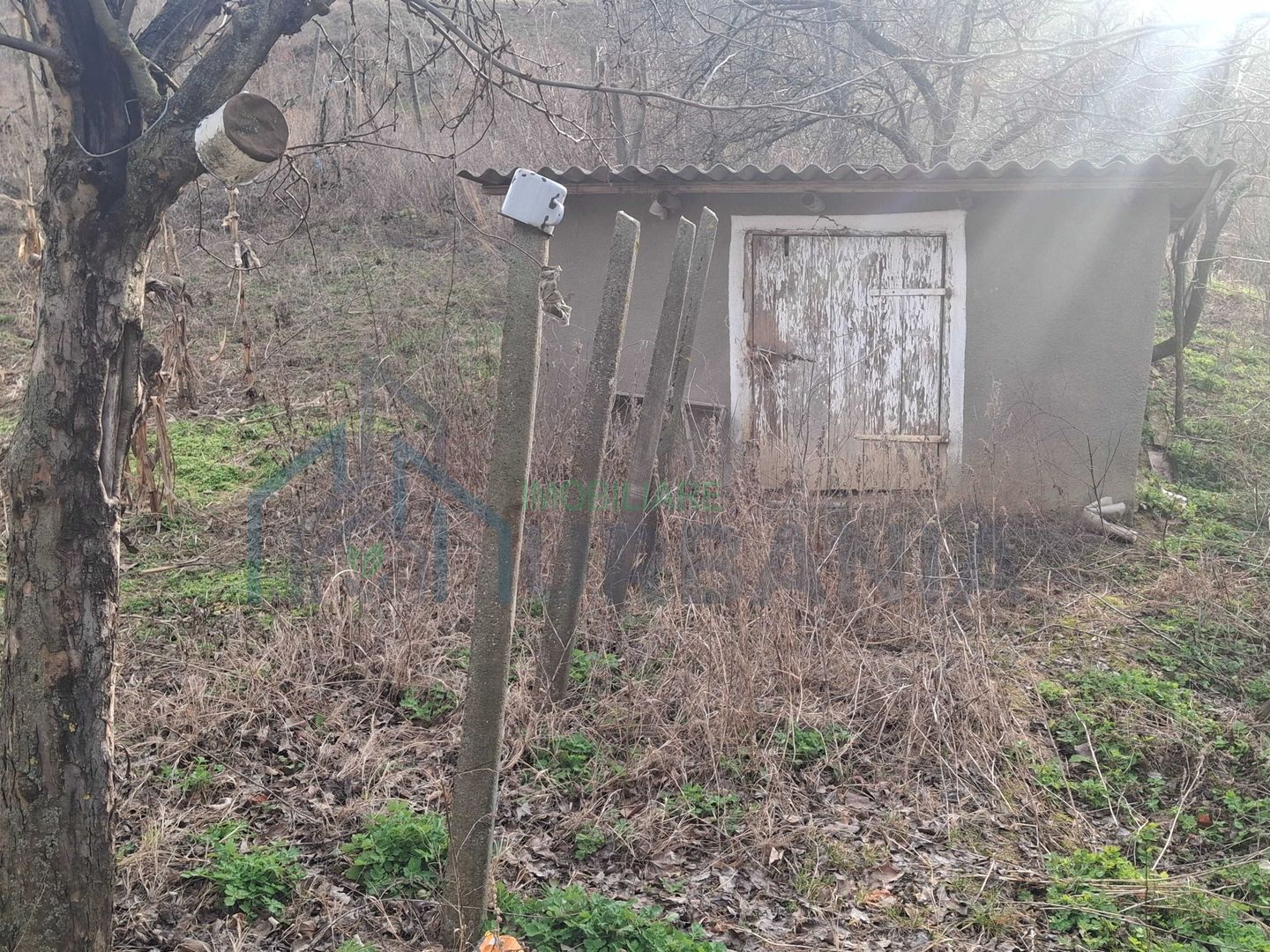 Casă de vânzare în satul Perieni, comuna Probota, cu grădină - Poză 3