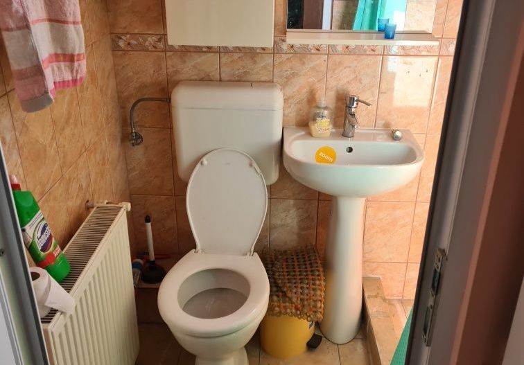 Inchirieri case/vile - Poză 6