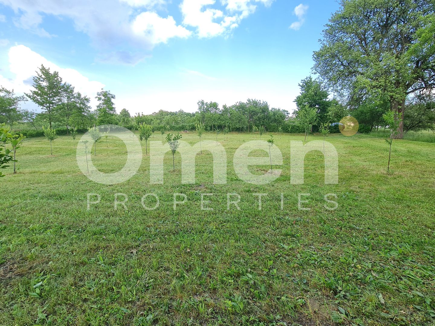 Teren intravilan în Vălenii Șomcutei, în suprafață de 1.700 mp - Poză 3