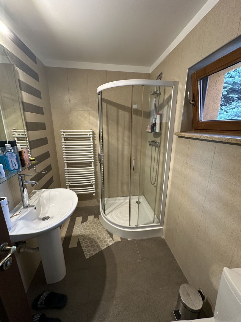 Proprietate cu piscina Dumbravita - Poză 42