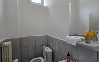 Spațiu comercial -  Vitrina-  Baza 3/ Carrefour Felicia - Poză 3