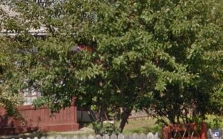 Casă tradițională de vânzare în Comuna Costești, județul Iași - Poză 5