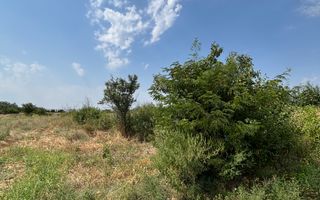 DE VANZARE - Teren – Centura de Nord Craiova, Aleea 1 Șimnic - Poză 3
