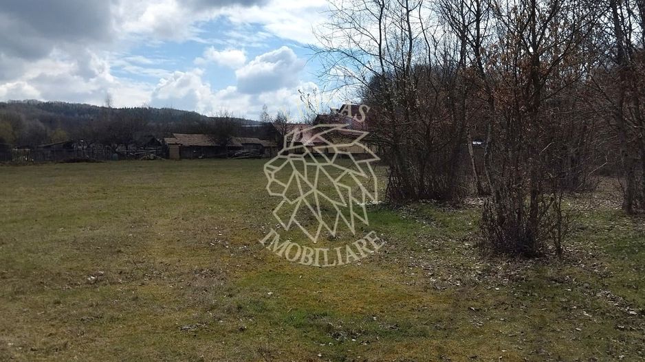 Teren 3700 mp - vedere panoramic - Zona Str. Ghinzii - Poză 4