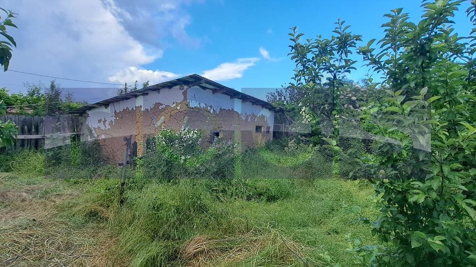 VANZARE CASA | TEREN 2500 MP | LIVADA SI VIE | SAT BREBINA – SCRIOASTEA - Poză 2