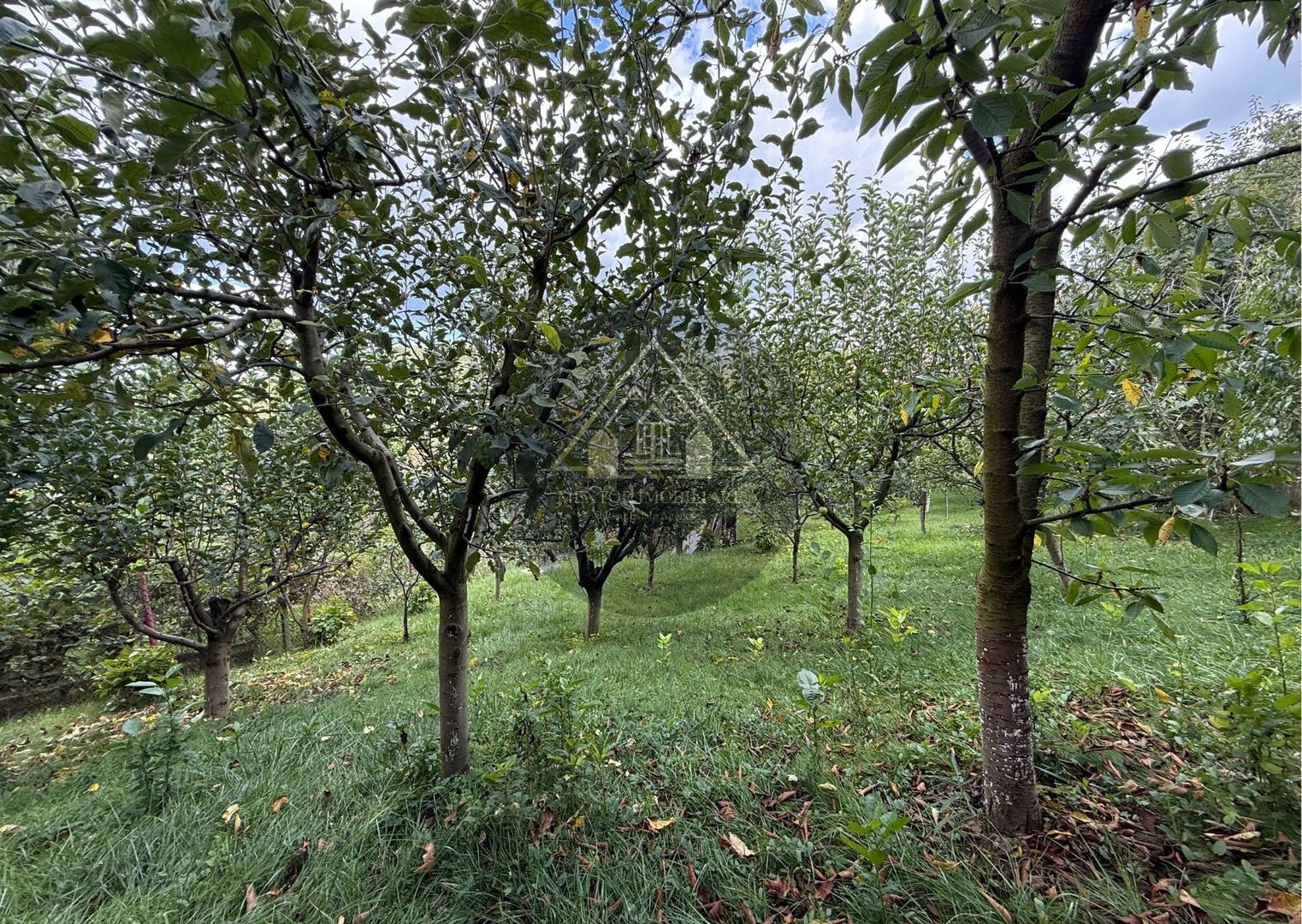 Casa de 3 camere, Medias. - Poză 23