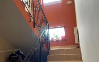 Vila Pantelimon - Padure - Poză 13