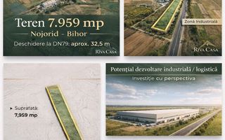 TEREN INTRAVILAN 7.959 MP – DN79 NOJORID, BIHOR - Poză 2