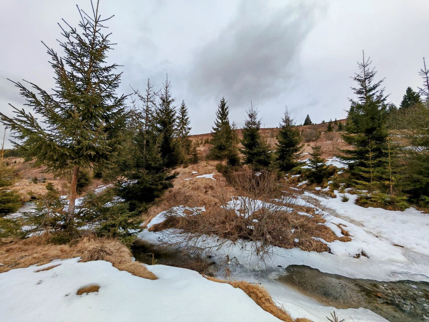 7.858 mp Teren Rar cu Pârâu și Izvoare, Beliș-Fântânele, Cluj - Poză 6