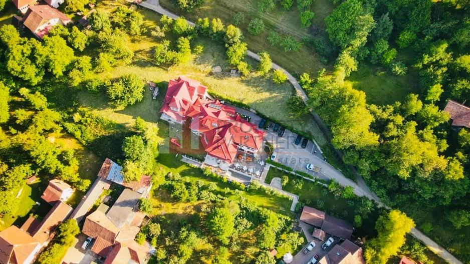 Conac autentic din categoria luxury  Bran - Poză 33