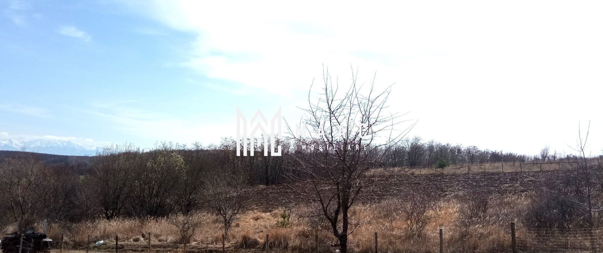 Teren intravilan | 933 mp | Cabana de lemn | Sura Mare - Poză 4