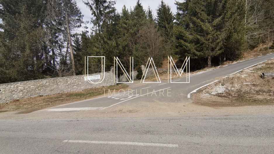 ***OFERTA NOUA*** Teren lângă Scenă, în Poiana Lupului, Gărâna - Poză 15