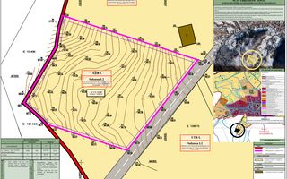Teren intravilan 4600mp - 55 EUR/mp - EXCLUSIVITATE CISNADIOARA - COMISION 0% - Poză 4