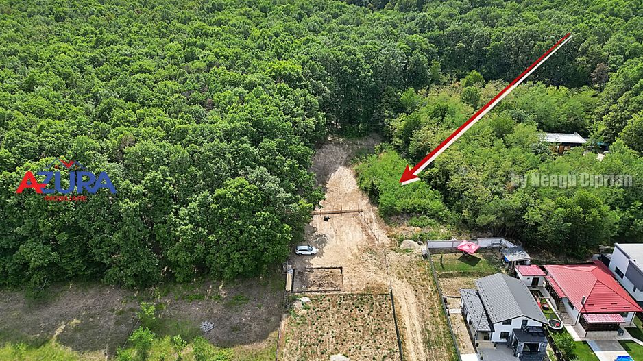 AZURA Imobiliare - Vanzare teren Hintesti, langa padure, 300m din DN - Poză 23