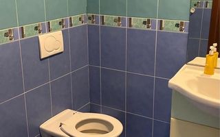 Apartament 3 camere Elisabetin - Poză 8