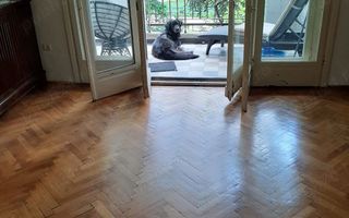 Vând apartament 185mp la Cișmigiu - Poză 8