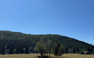 SUPER OCAZIE  - Teren intravilan, COMANDAU-PUZ case de vacanta. - Poză 10