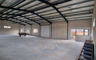 Inchiriere Hală Producție/Depozitare 300 mp, Teren 1791 mp - Carei - Poză 5