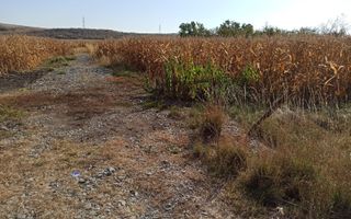 Teren 4606 mp-ideal investitie-Sarata - Poză 4