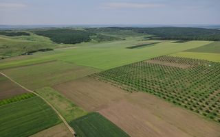 Vînzare, teren agricol, 25,3 ha, s. Peresecina, Orhei. - Poză 3