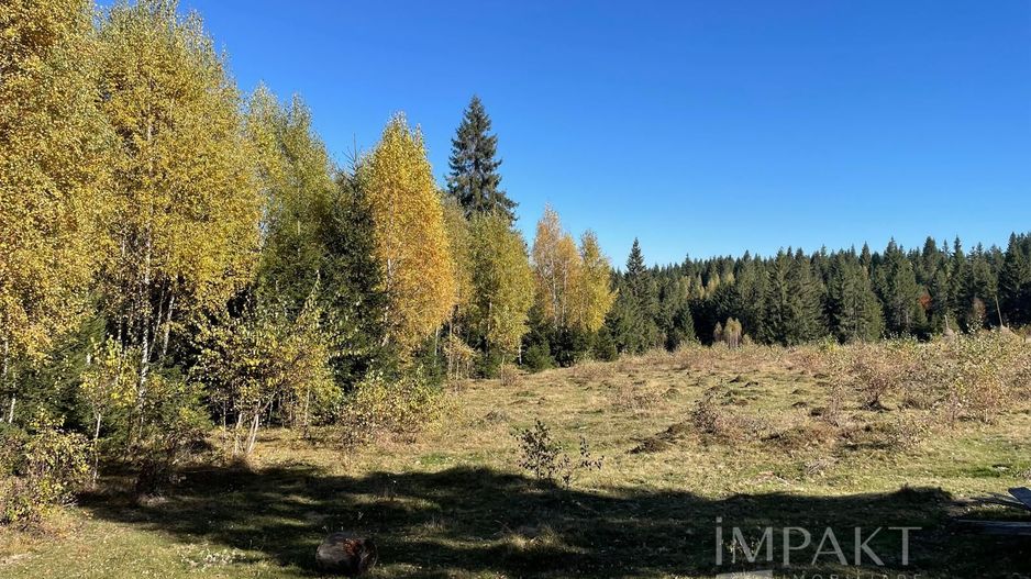 Teren intravilan de 2001 mp în Calatele Padure, comuna Calatele! - Poză 4