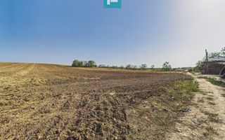 TEREN REMETEA MICĂ, JUDEȚUL TIMIȘ - Poză 7