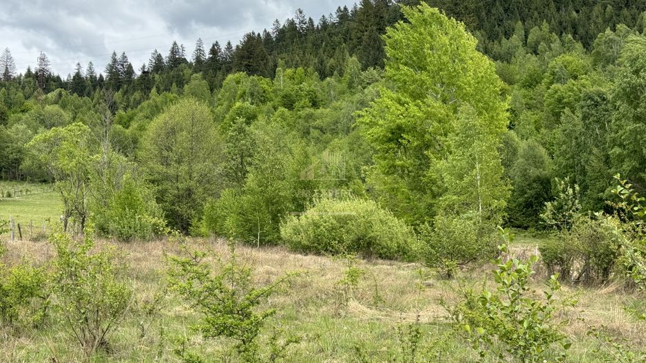 TEREN INTRAVILAN 6680 MP LERESTI ARGES - Poză 5